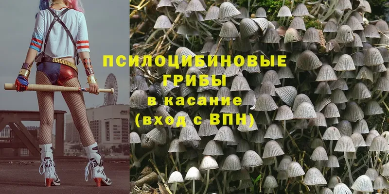 Галлюциногенные грибы Magic Shrooms  даркнет сайт  Красноуральск 